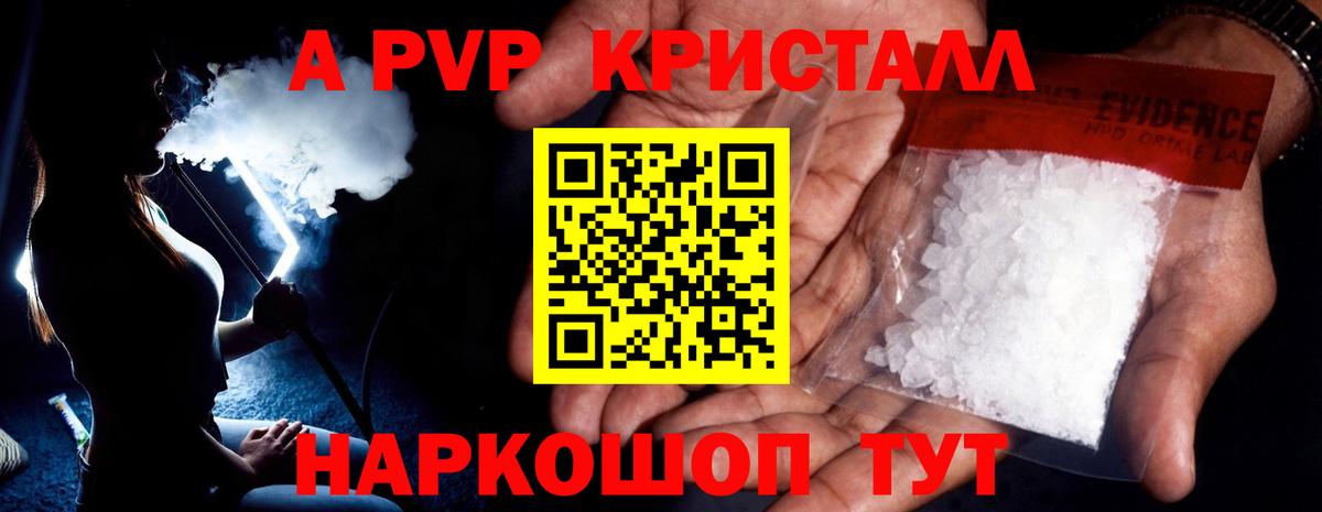 Alfa_PVP СК  как найти   Сосновоборск  Вход с VPN  Alpha-PVP СК КРИС  А ПВП СК КРИС 
