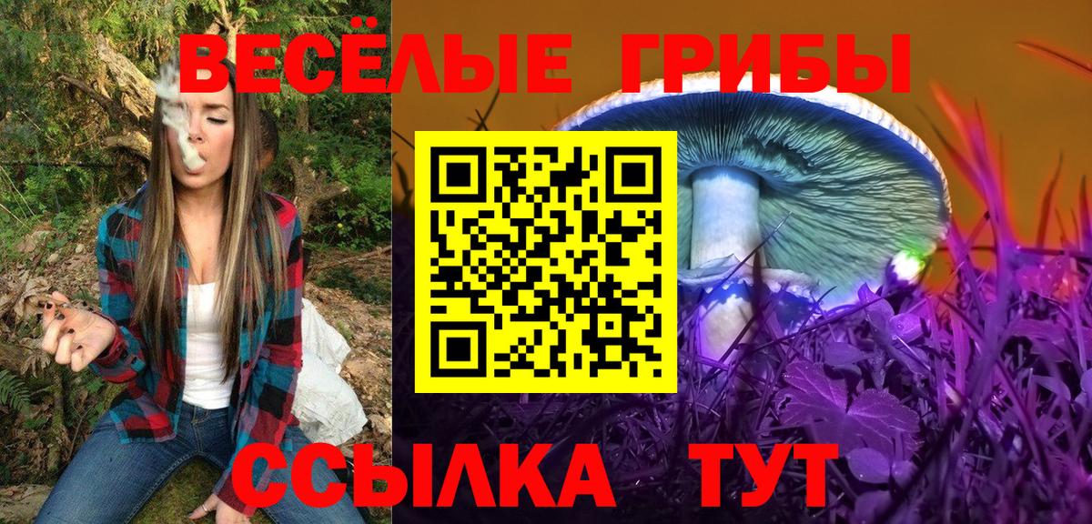 Псилоцибиновые грибы GOLDEN TEACHER Сосновоборск
