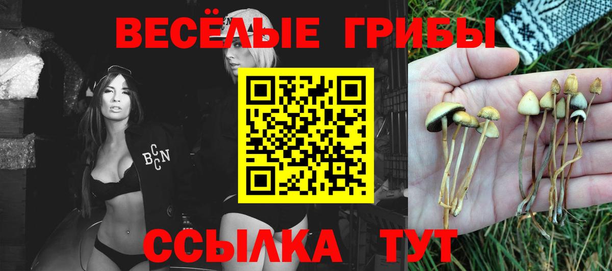 цена наркотик  Вход с VPN  Сосновоборск  Галлюциногенные грибы мицелий  Псилоцибиновые грибы Psilocybe 