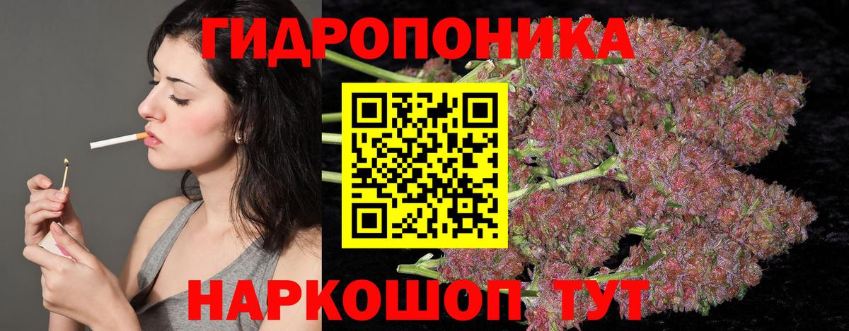 Сосновоборск  Шишки марихуана THC 21%  Канабис гибрид  Вход с VPN  Марихуана гибрид 